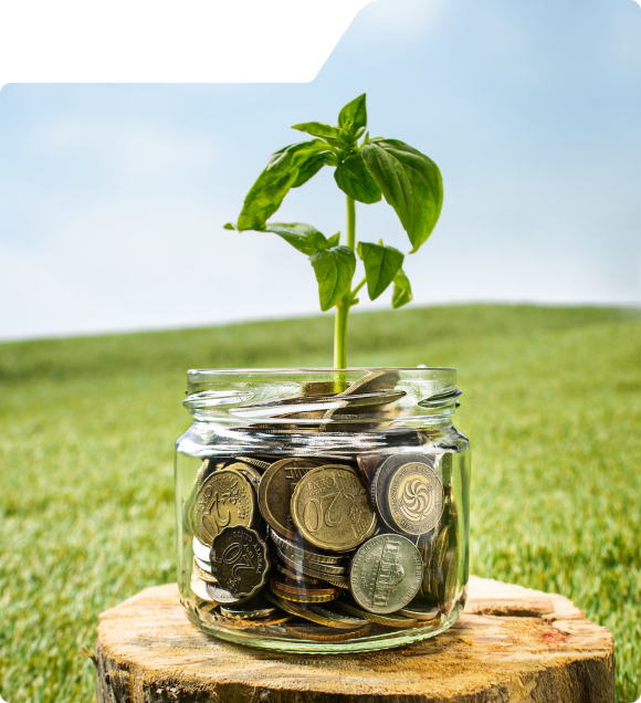 Nostrum FX – Store